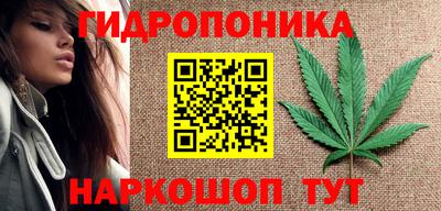 прущие крисы Канаш