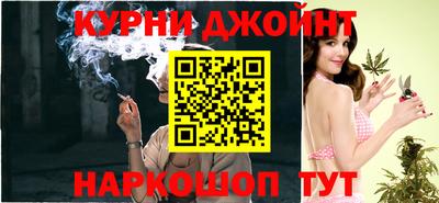 индика Кандалакша