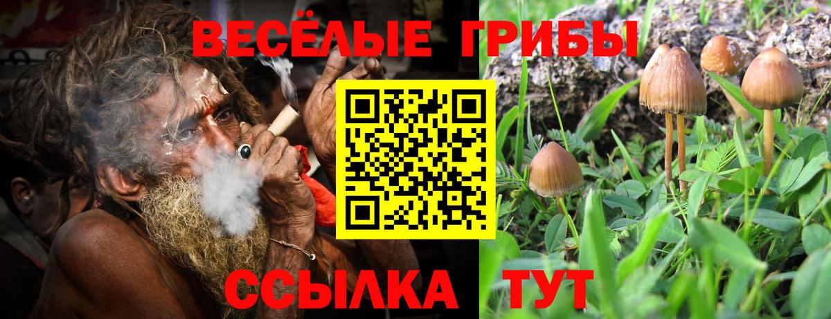 Галлюциногенные грибы Magic Shrooms  Галлюциногенные грибы прущие грибы  Вход с VPN  Михайловка 